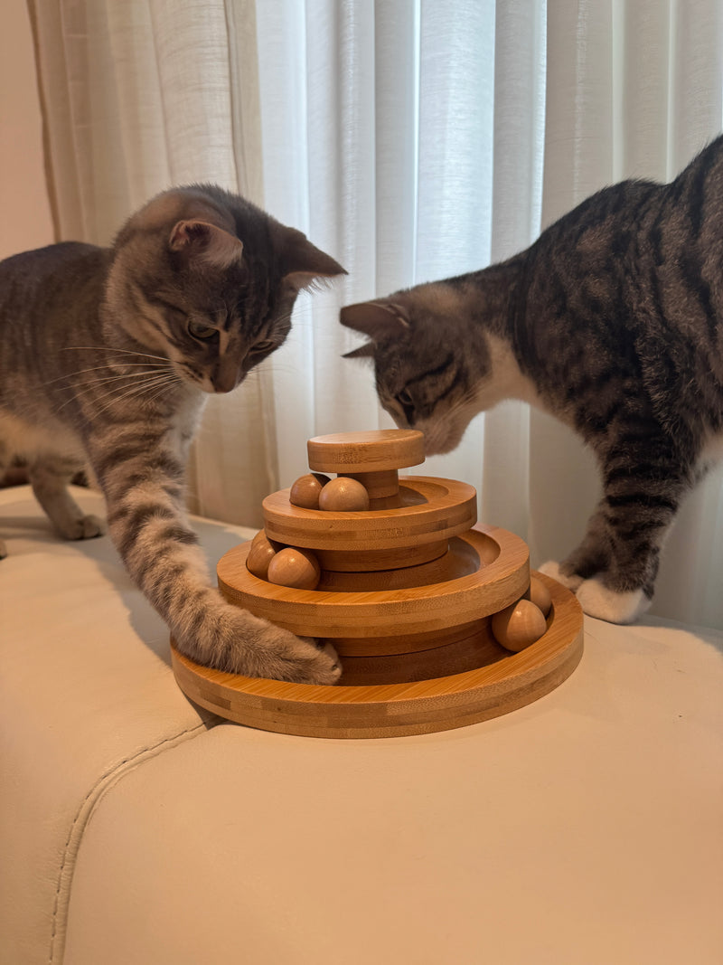 Two cats playing with a three-tier ball-track tower on a light sofa.
