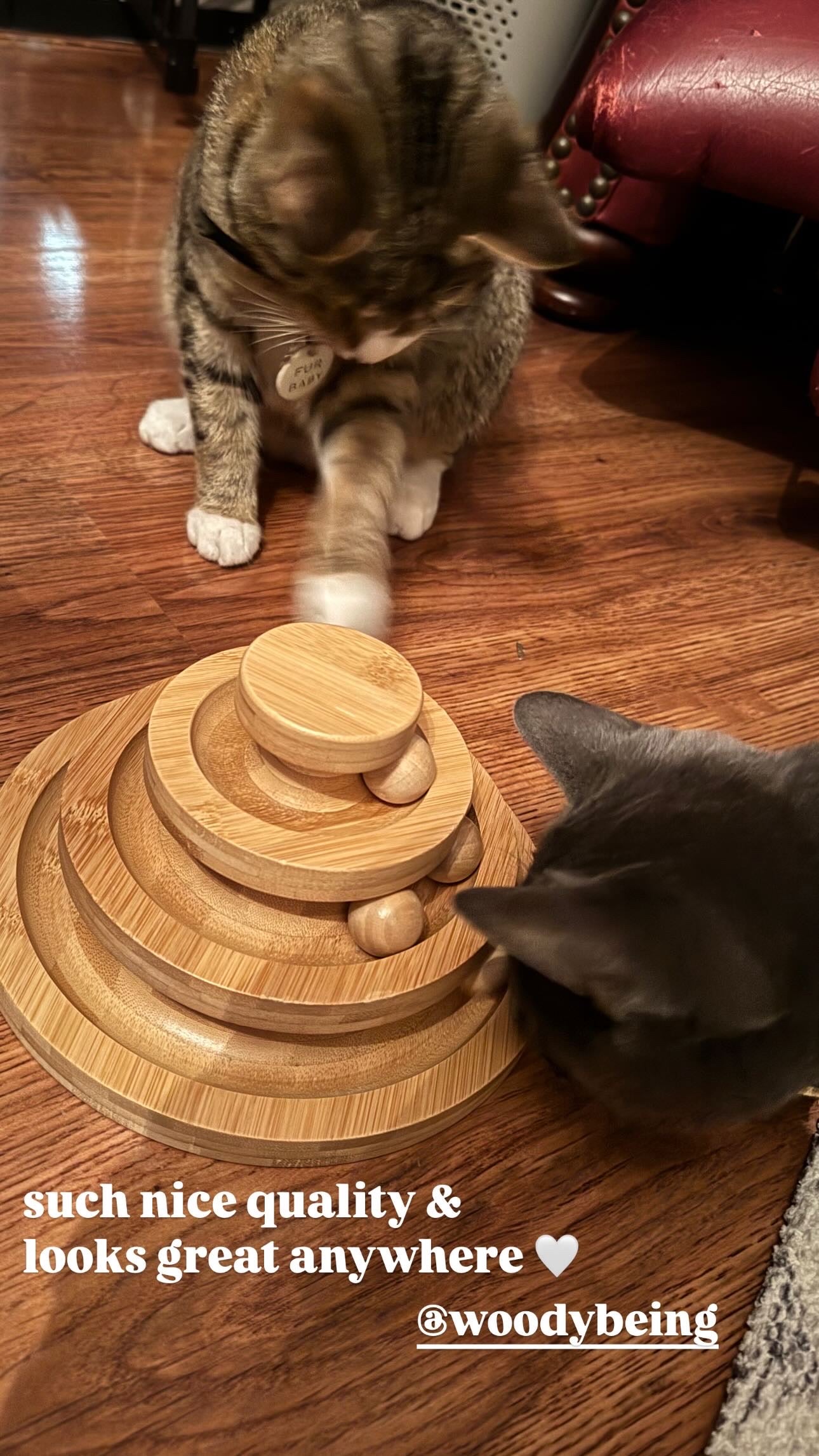 Bamboo Interactive Cat Ball Track Tower
