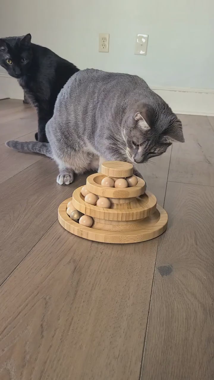 Three short moments of cats inspecting and pawing a tiered wooden ball-track tower. Silent demonstration.