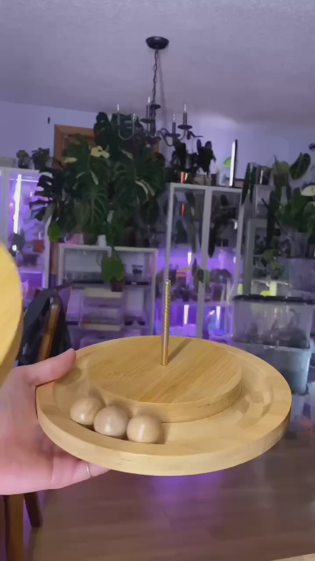 Bamboo Interactive Cat Ball Track Tower