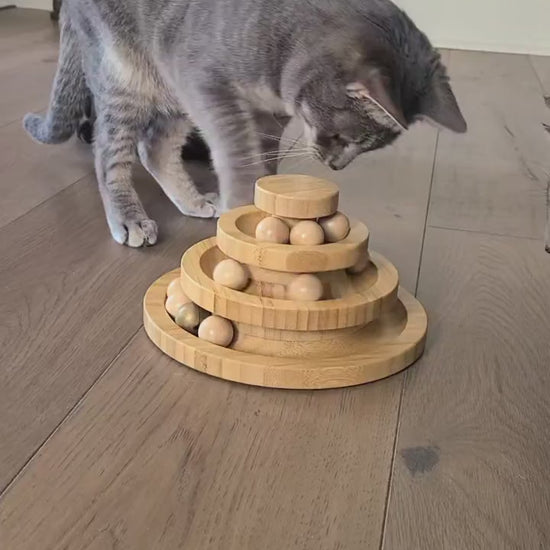 Silent demonstration: cats reach toward the balls in the tiered wooden ball-track tower.