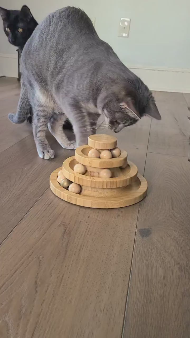Silent demonstration: cats reach toward the balls in the tiered wooden ball-track tower.