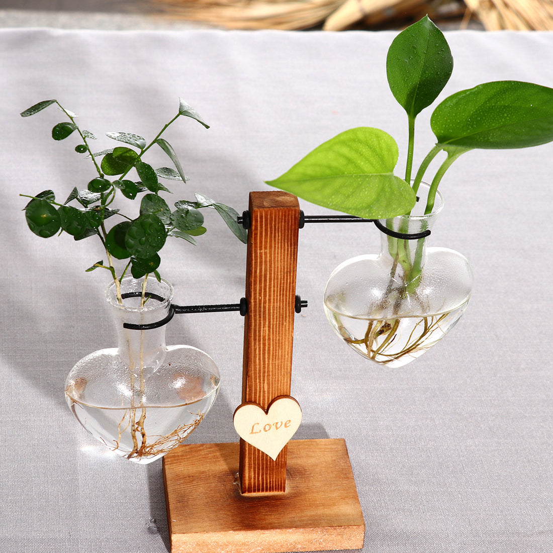 Solid Wood and Hydroponic Plante Vase - woodybeingllc